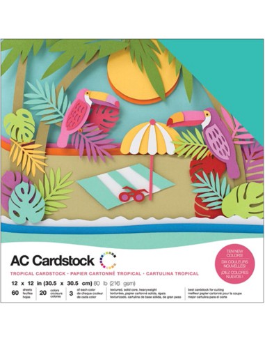 Bloc de 60 cardstock 30,48 X 30,48cm - legèrement texturé 216g/m2- TROPICAL