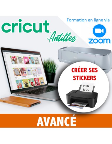 Formation CRICUT - dimanche 30 mars 2025 - 15h - AVANCÉ - print and cut