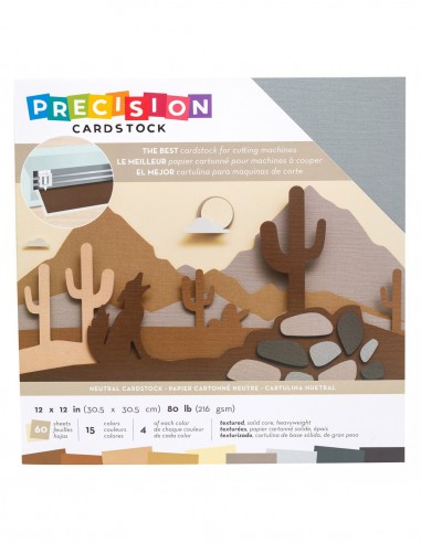 Bloc de 60 cardstock 30,48 X 30,48cm - Precision cardstock lisse - legèrement texturé -  Neutral